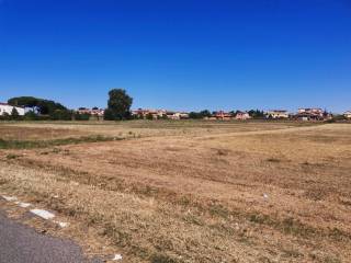 Terreno agricolo all'asta a fiumicino via castagnevizza