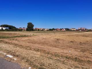 Terreno agricolo all'asta a fiumicino via castagnevizza