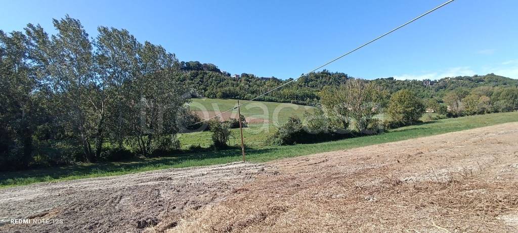 immagine annuncio 10 di 14