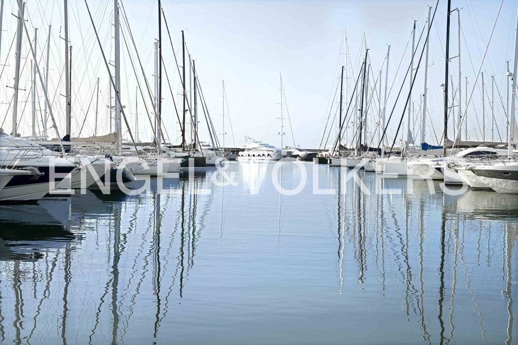immagine annuncio 7 di 14