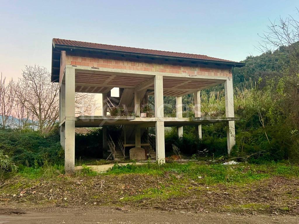 immagine annuncio 3 di 9