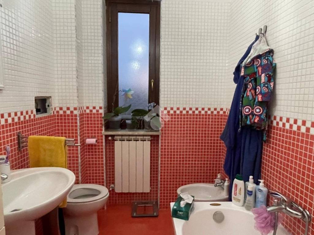 immagine annuncio 4 di 11