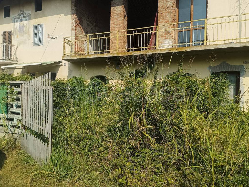 immagine annuncio 2 di 4