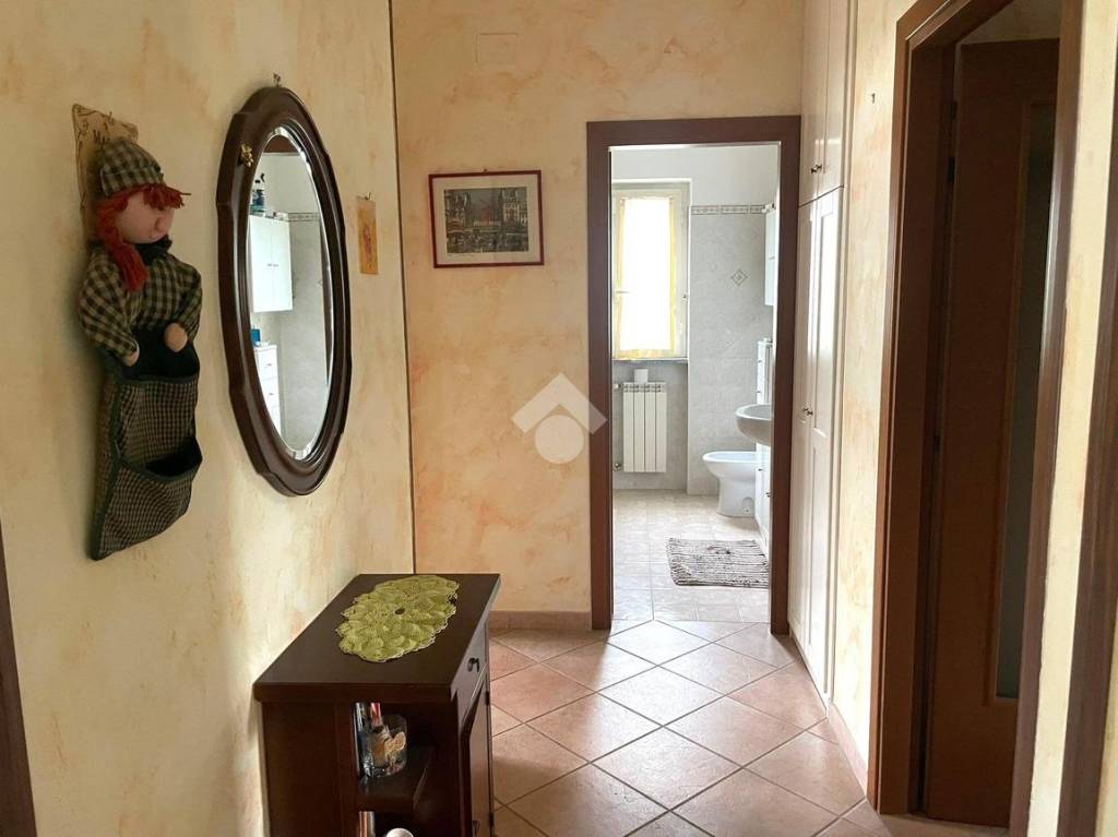 immagine annuncio 9 di 14