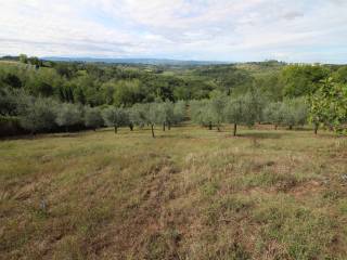 Terreno agricolo in vendita a montespertoli via lucardese