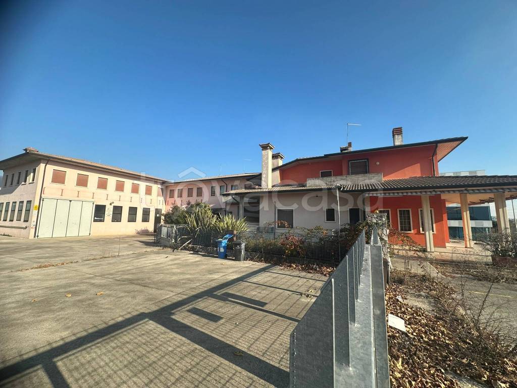 immagine annuncio 5 di 15