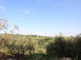 Terreno agricolo in vendita a montespertoli via colle montalbino