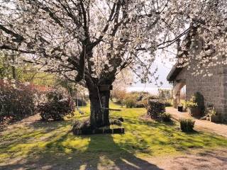 Villa in in affitto da privato a caprarola strada provinciale lago di vico