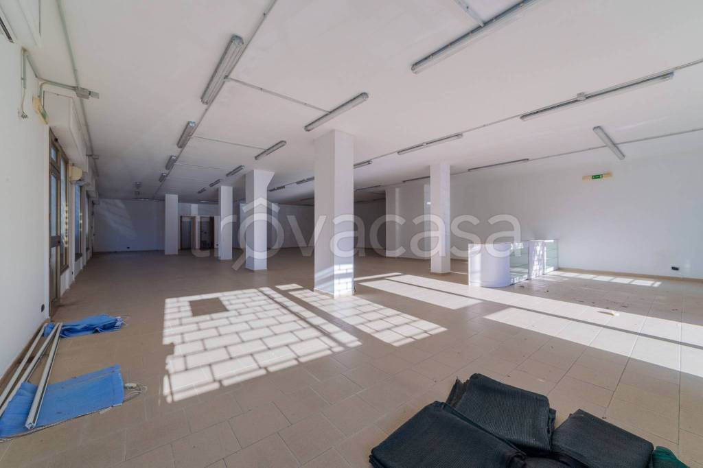 immagine annuncio 4 di 6