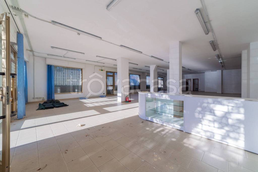 immagine annuncio 3 di 6