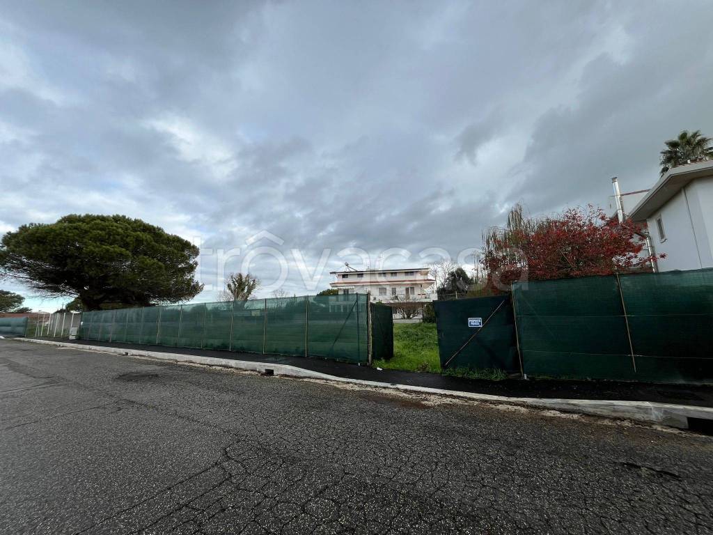 immagine annuncio 9 di 14