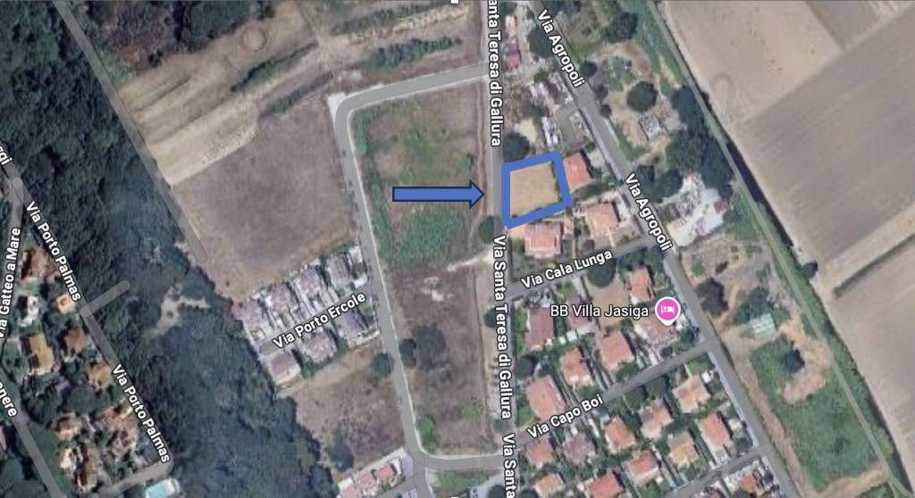 immagine annuncio 12 di 14