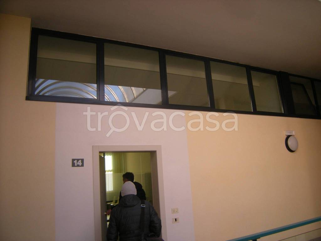 immagine annuncio 2 di 14