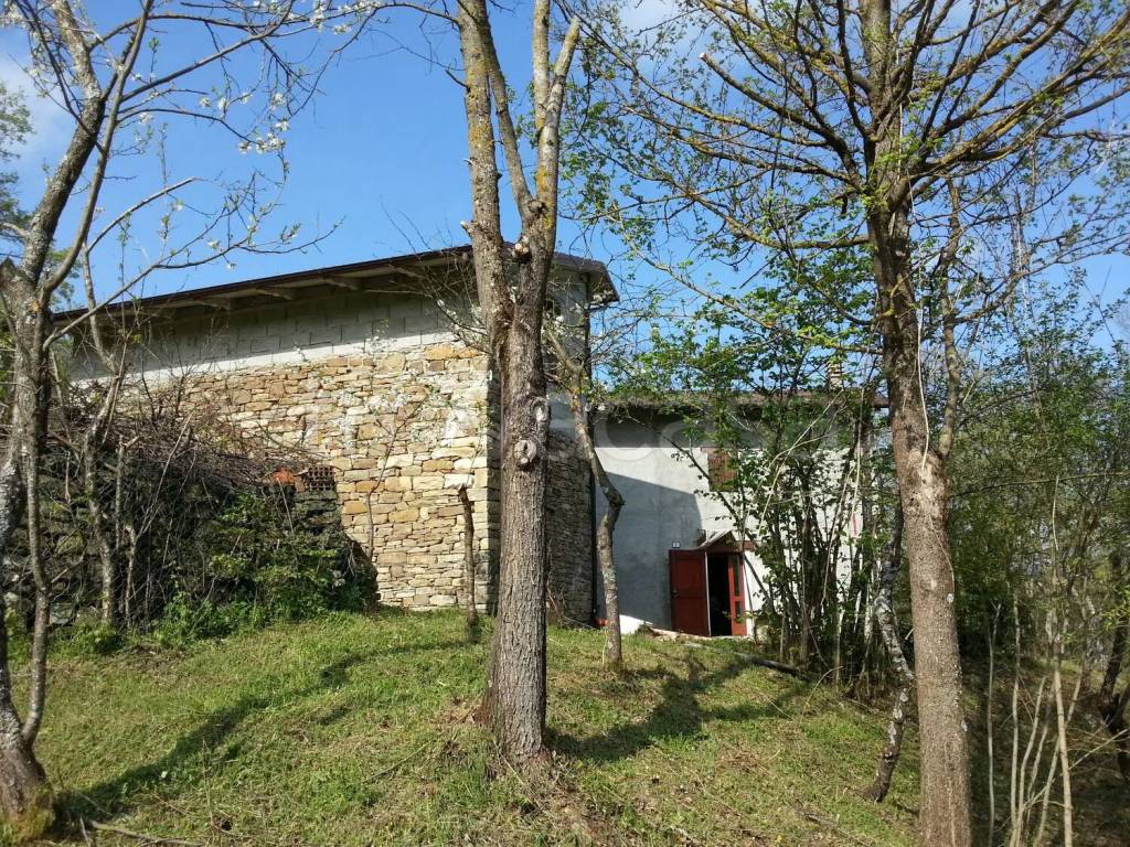 immagine annuncio 4 di 12