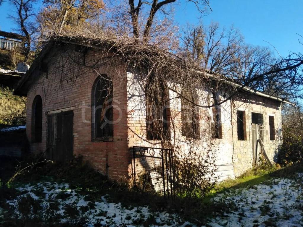 immagine annuncio 5 di 12