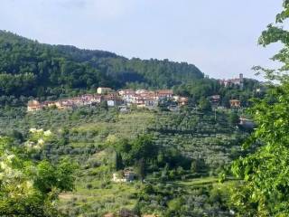 Casa indipendente in in vendita da privato a cantagallo via di cantagallo