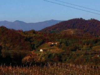 Terreno agricolo all'asta a refrontolo via mire