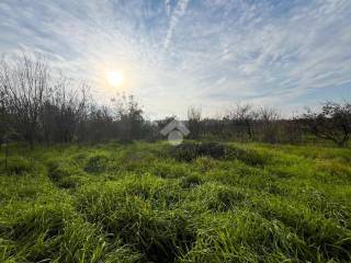 Terreno agricolo in affitto a desenzano del garda via ronchedone, 1