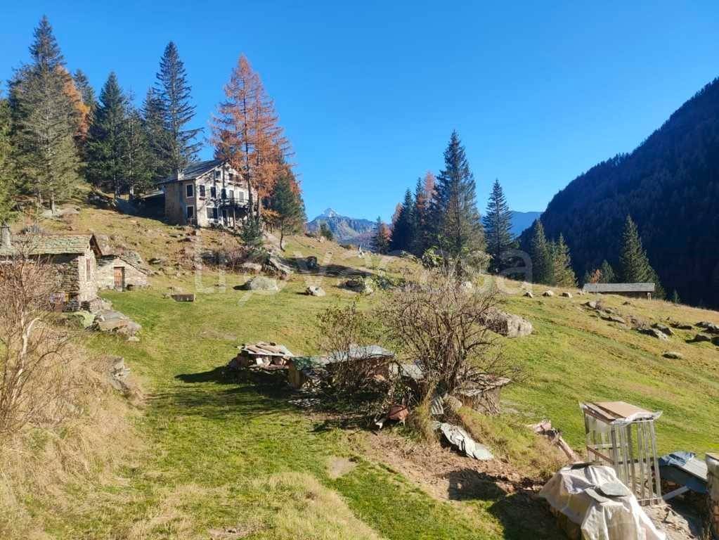 immagine annuncio 12 di 14