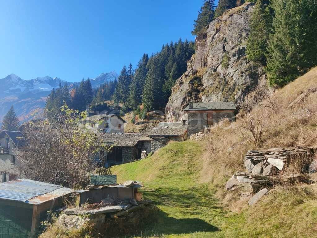 immagine annuncio 10 di 14
