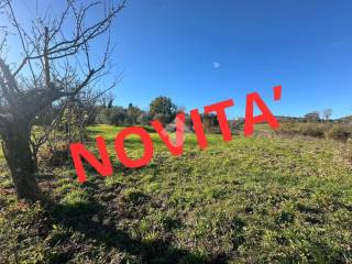 Terreno agricolo in vendita a narni strada di fabrucciano