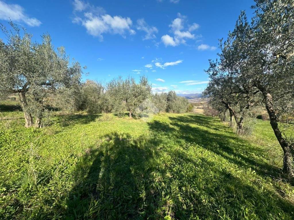 immagine annuncio 8 di 14
