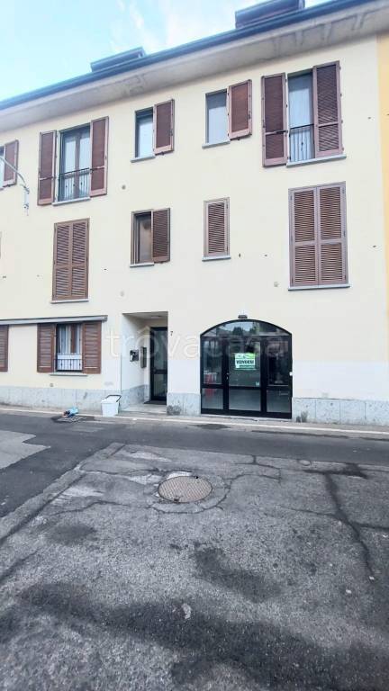 immagine annuncio 7 di 14
