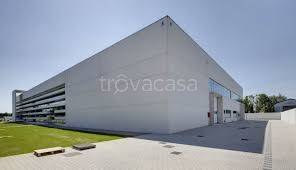 immagine annuncio 2 di 8