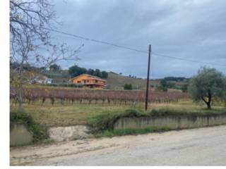 Terreno agricolo all'asta ad ari via foro