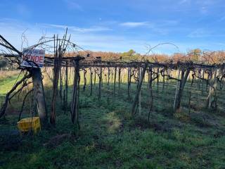 Terreno agricolo in vendita a nettuno via valtellina