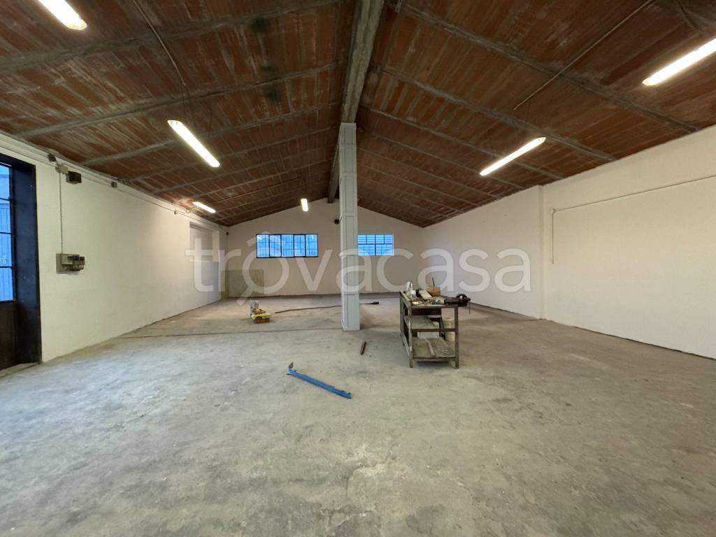 immagine annuncio 9 di 14