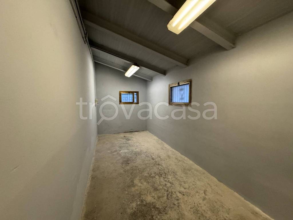 immagine annuncio 11 di 14