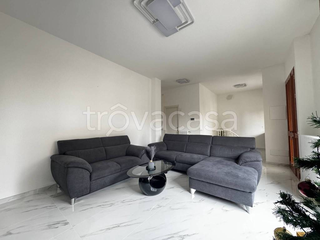 immagine annuncio 3 di 14