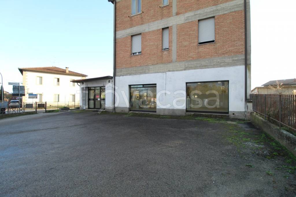 immagine annuncio 11 di 13