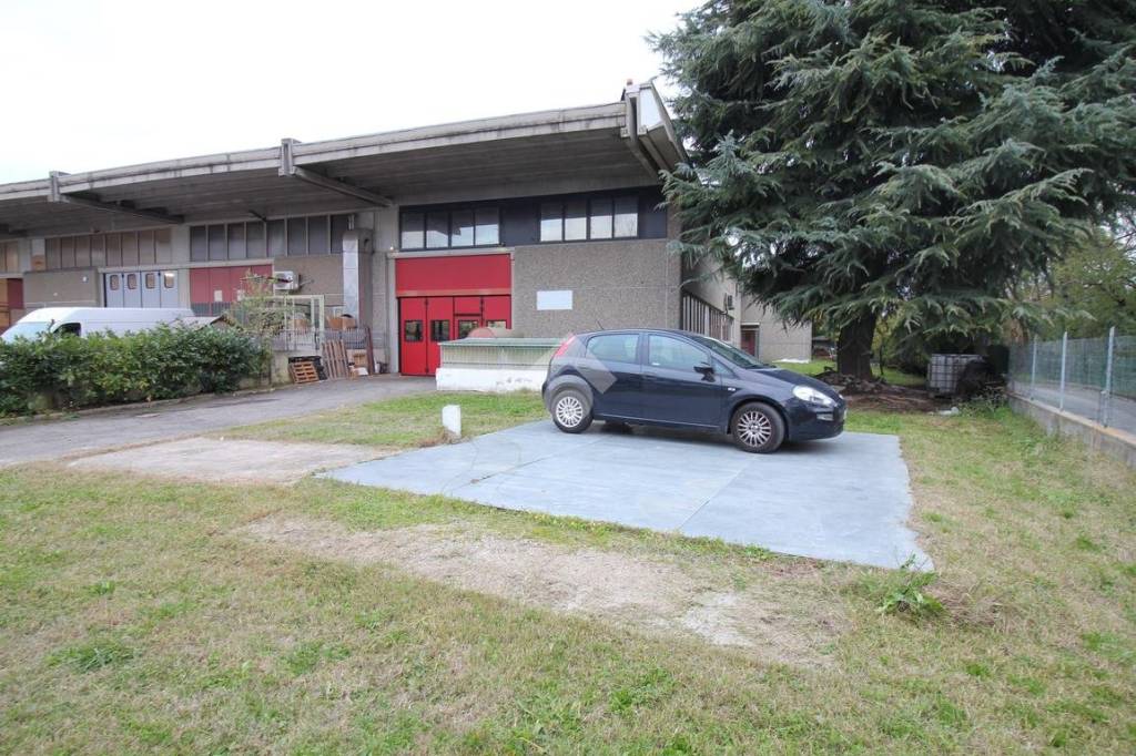 immagine annuncio 2 di 15