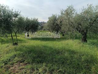 Terreno agricolo in vendita a roma via della lite, 24