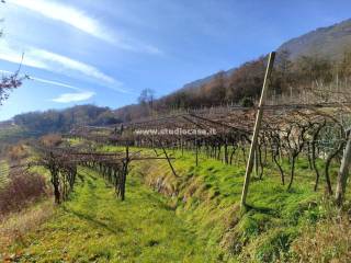 Terreno agricolo in vendita a isera 