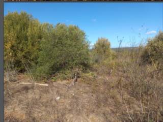 Terreno agricolo all'asta a caltagirone sp34