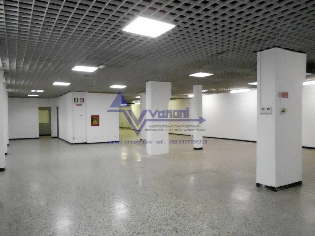immagine annuncio 7 di 13