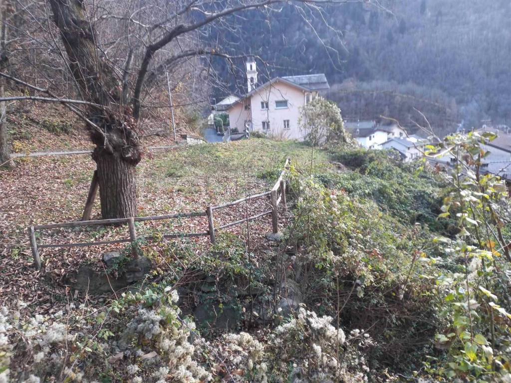 immagine annuncio 5 di 14