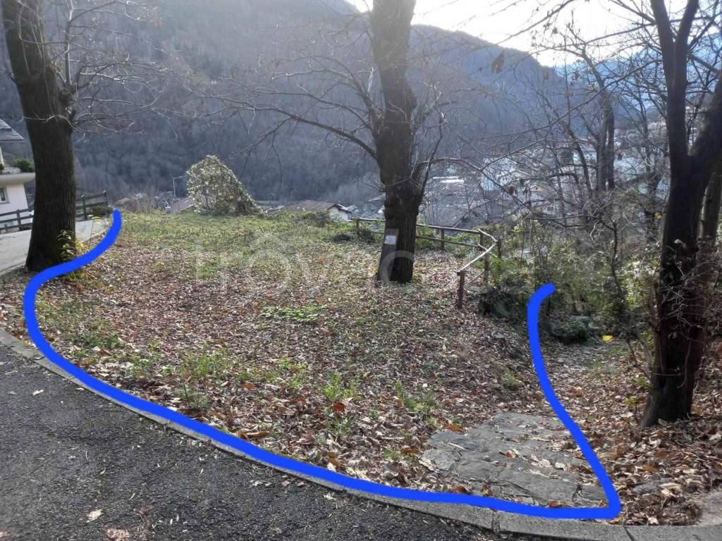 immagine annuncio 10 di 14
