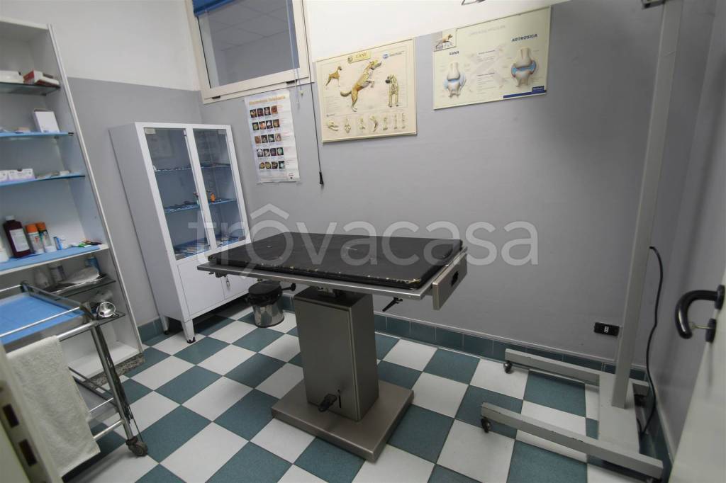 immagine annuncio 3 di 8