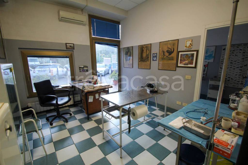 immagine annuncio 6 di 8