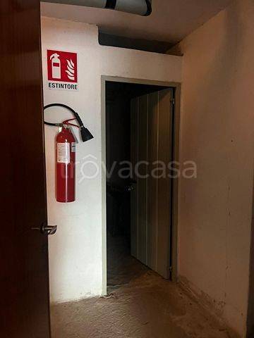 immagine annuncio 7 di 8