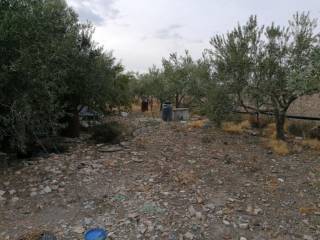 Terreno edificabile all'asta a lucera via foggia