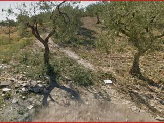 Terreno agricolo all'asta a lucera via foggia