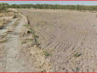 Terreno agricolo all'asta a lucera via foggia