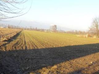 Terreno agricolo all'asta a loria via campagna