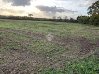 Terreno agricolo in vendita a caserta via sauda vicinale vairano