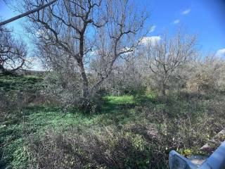 Terreno agricolo in vendita a squinzano s.s. 16 s.n.c.